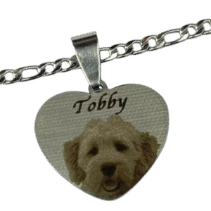 collar-mascota